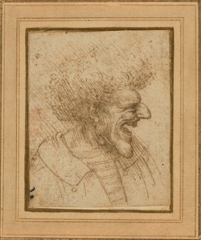 Karikatur eines Mannes mit buschigem Haar, ca. 1495 von Leonardo da Vinci